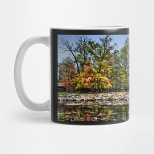 Autumn Reflections Mug